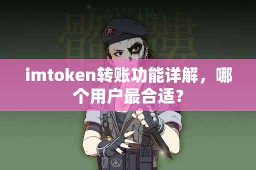 imtoken转账功能详解，哪个用户最合适？