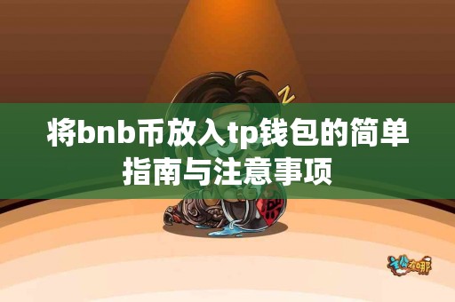 将bnb币放入tp钱包的简单指南与注意事项