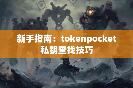 新手指南：tokenpocket私钥查找技巧
