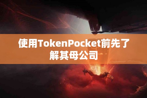使用TokenPocket前先了解其母公司