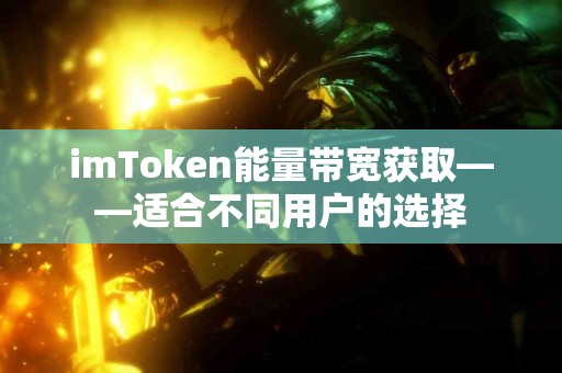 imToken能量带宽获取——适合不同用户的选择