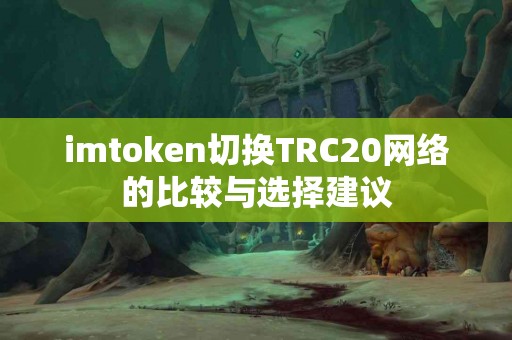 imtoken切换TRC20网络的比较与选择建议