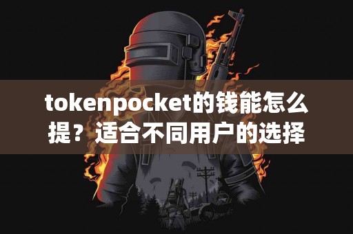 tokenpocket的钱能怎么提？适合不同用户的选择