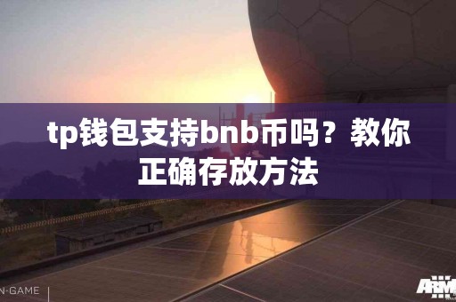 tp钱包支持bnb币吗？教你正确存放方法