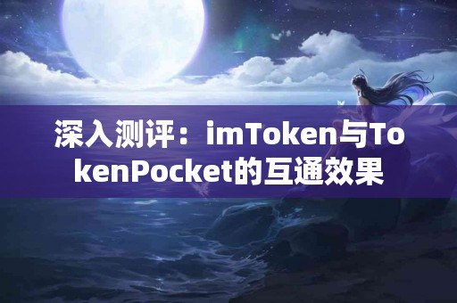 深入测评：imToken与TokenPocket的互通效果