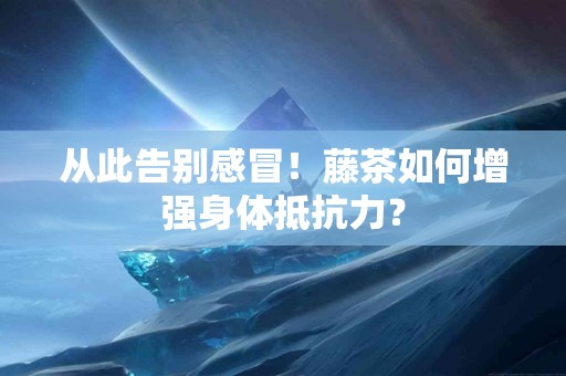 从此告别感冒！藤茶如何增强身体抵抗力？