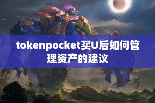 tokenpocket买U后如何管理资产的建议