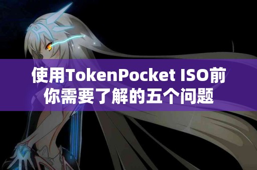 使用TokenPocket ISO前你需要了解的五个问题
