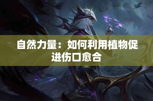 自然力量：如何利用植物促进伤口愈合