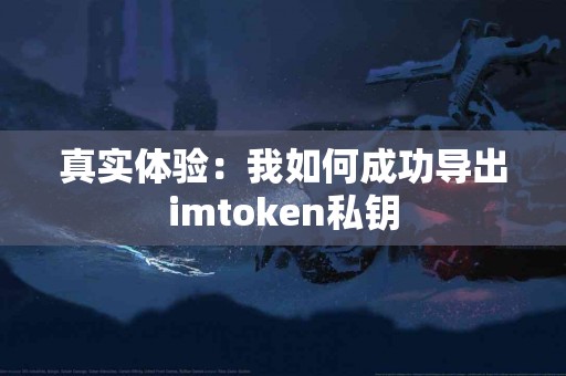 真实体验：我如何成功导出imtoken私钥