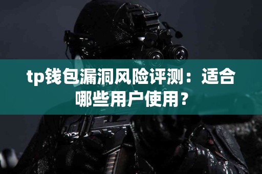 tp钱包漏洞风险评测：适合哪些用户使用？
