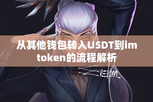 从其他钱包转入USDT到imtoken的流程解析