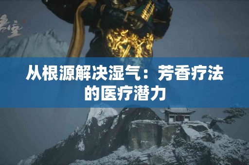 从根源解决湿气：芳香疗法的医疗潜力