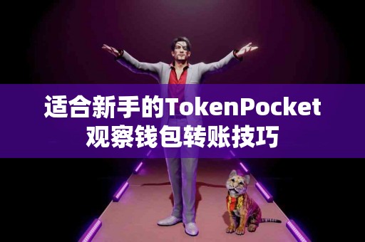 适合新手的TokenPocket观察钱包转账技巧