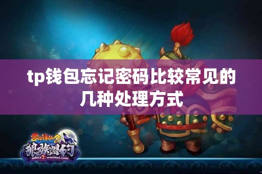 tp钱包忘记密码比较常见的几种处理方式
