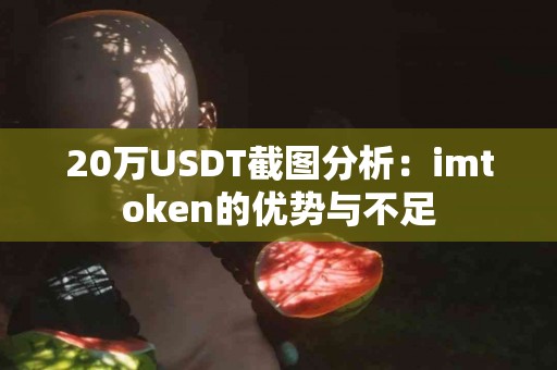 20万USDT截图分析：imtoken的优势与不足