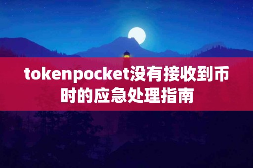 tokenpocket没有接收到币时的应急处理指南