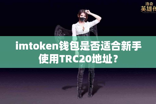 imtoken钱包是否适合新手使用TRC20地址？