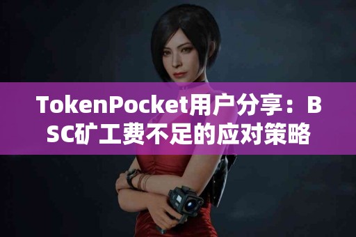 TokenPocket用户分享：BSC矿工费不足的应对策略