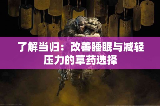 了解当归：改善睡眠与减轻压力的草药选择