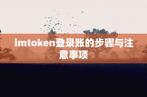 imtoken登录账的步骤与注意事项