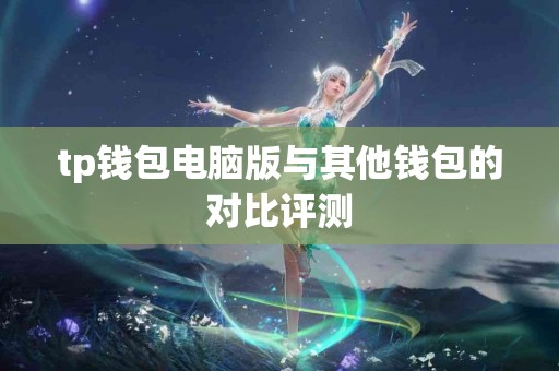 tp钱包电脑版与其他钱包的对比评测