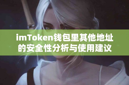 imToken钱包里其他地址的安全性分析与使用建议