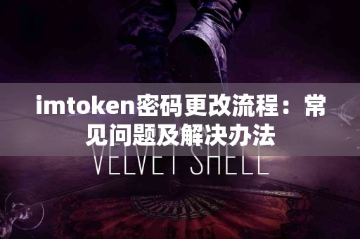 imtoken密码更改流程：常见问题及解决办法
