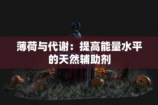 薄荷与代谢：提高能量水平的天然辅助剂