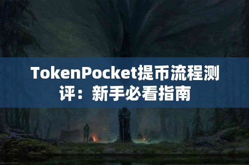 TokenPocket提币流程测评：新手必看指南
