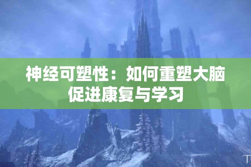 神经可塑性：如何重塑大脑促进康复与学习
