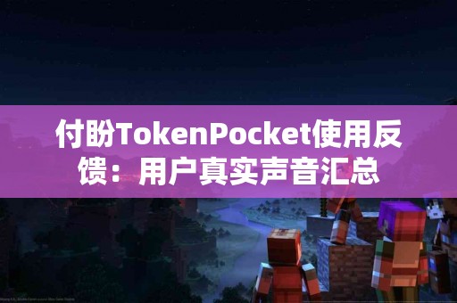 付盼TokenPocket使用反馈：用户真实声音汇总