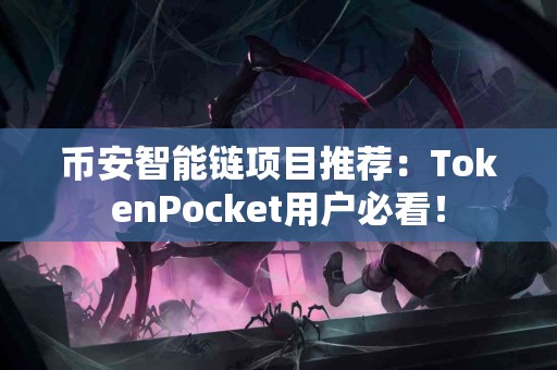 币安智能链项目推荐：TokenPocket用户必看！