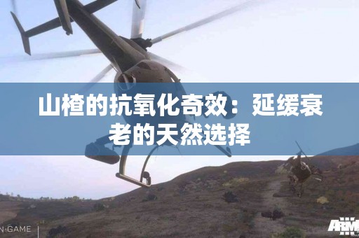 山楂的抗氧化奇效：延缓衰老的天然选择