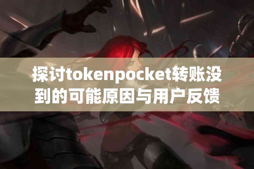 探讨tokenpocket转账没到的可能原因与用户反馈