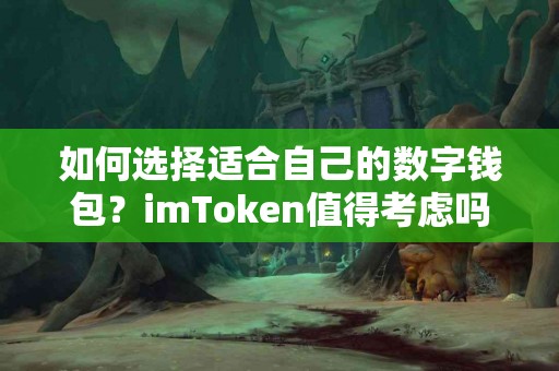 如何选择适合自己的数字钱包？imToken值得考虑吗？