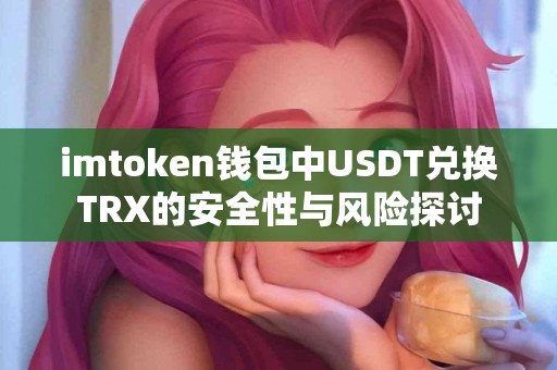 imtoken钱包中USDT兑换TRX的安全性与风险探讨