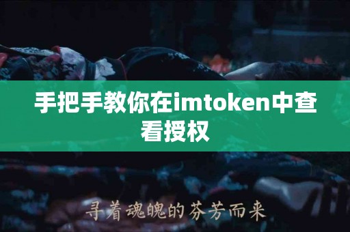 手把手教你在imtoken中查看授权
