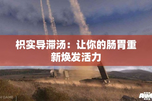 枳实导滞汤：让你的肠胃重新焕发活力