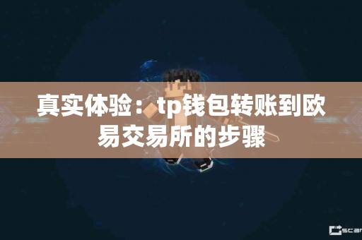真实体验：tp钱包转账到欧易交易所的步骤