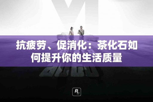 抗疲劳、促消化：茶化石如何提升你的生活质量