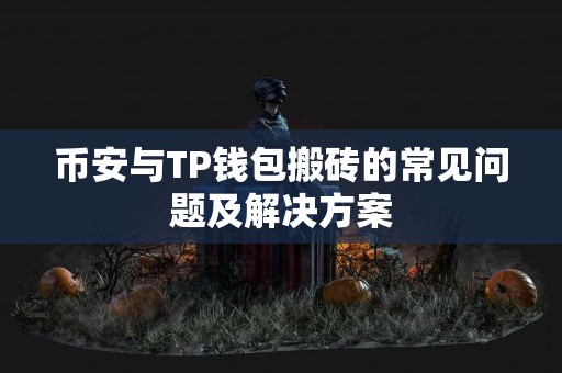 币安与TP钱包搬砖的常见问题及解决方案
