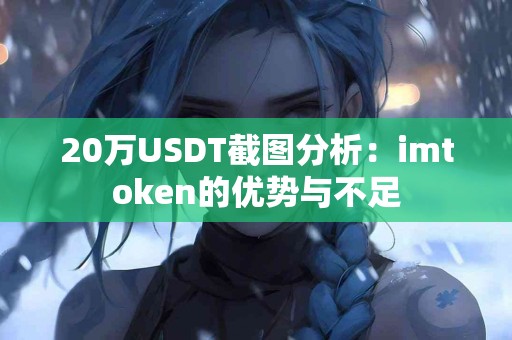 20万USDT截图分析：imtoken的优势与不足