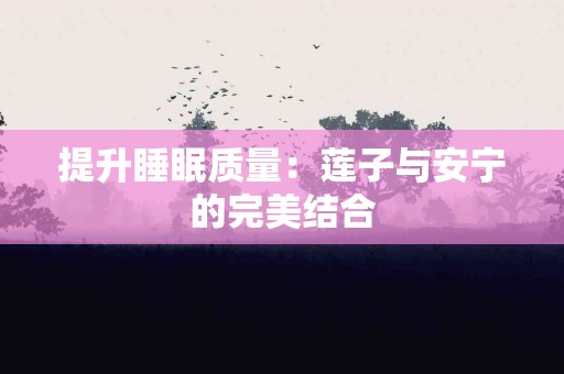 提升睡眠质量：莲子与安宁的完美结合