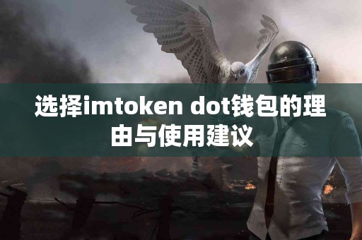选择imtoken dot钱包的理由与使用建议