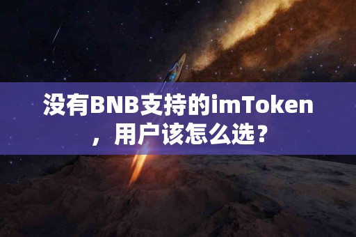 没有BNB支持的imToken，用户该怎么选？