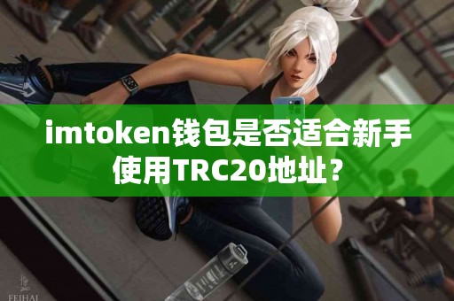 imtoken钱包是否适合新手使用TRC20地址？