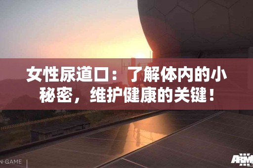 女性尿道口：了解体内的小秘密，维护健康的关键！