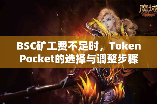 BSC矿工费不足时，TokenPocket的选择与调整步骤