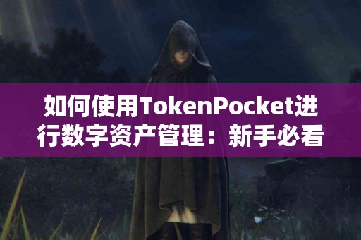 如何使用TokenPocket进行数字资产管理：新手必看教程